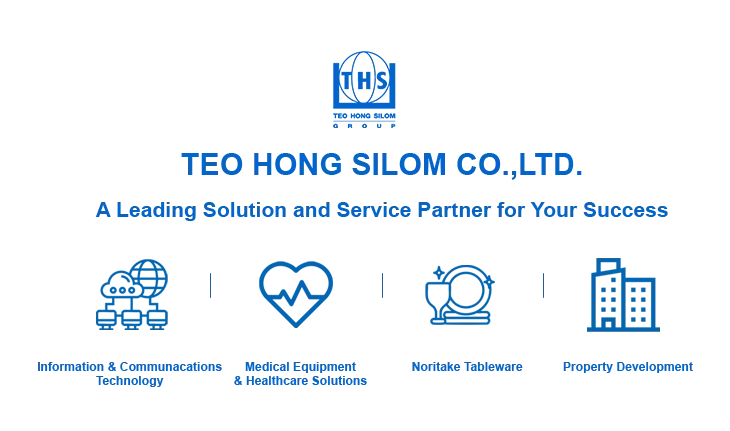 Teo Hong Silom Group business areas